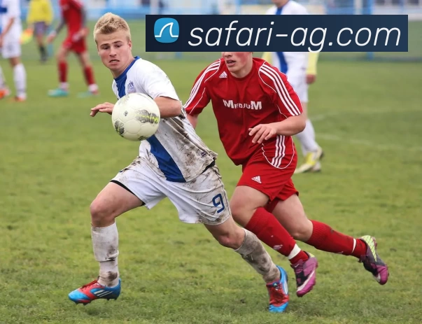 AG娱乐平台生态图