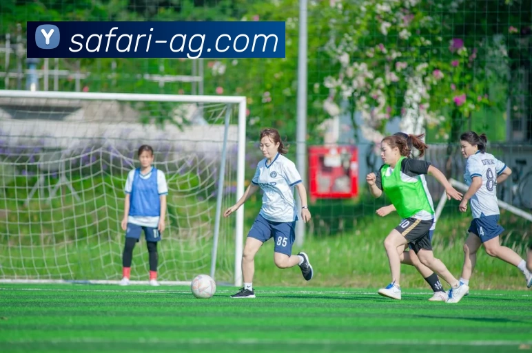 AG娱乐APP 封面图